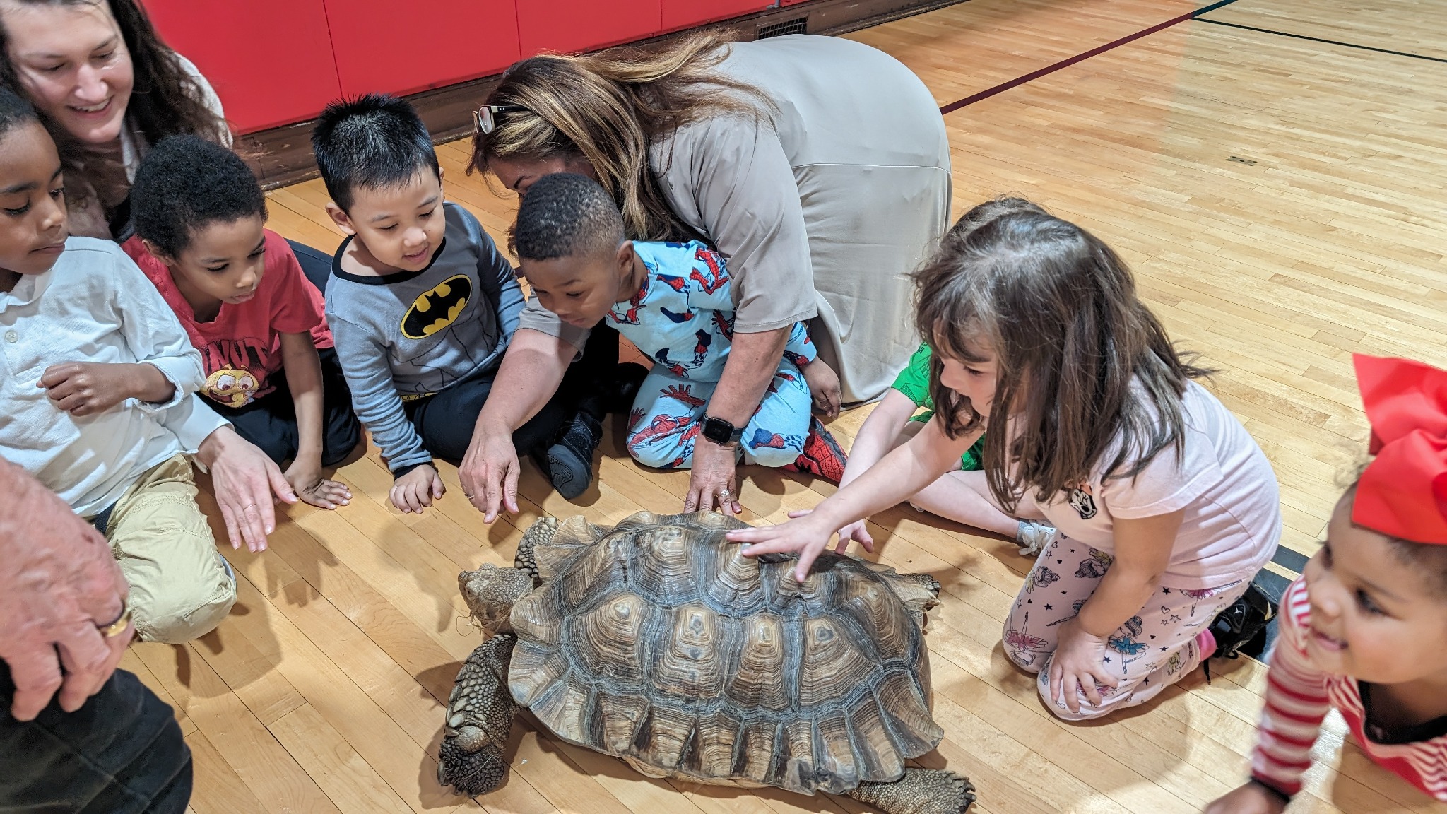 Students exploring and learning with a turtle